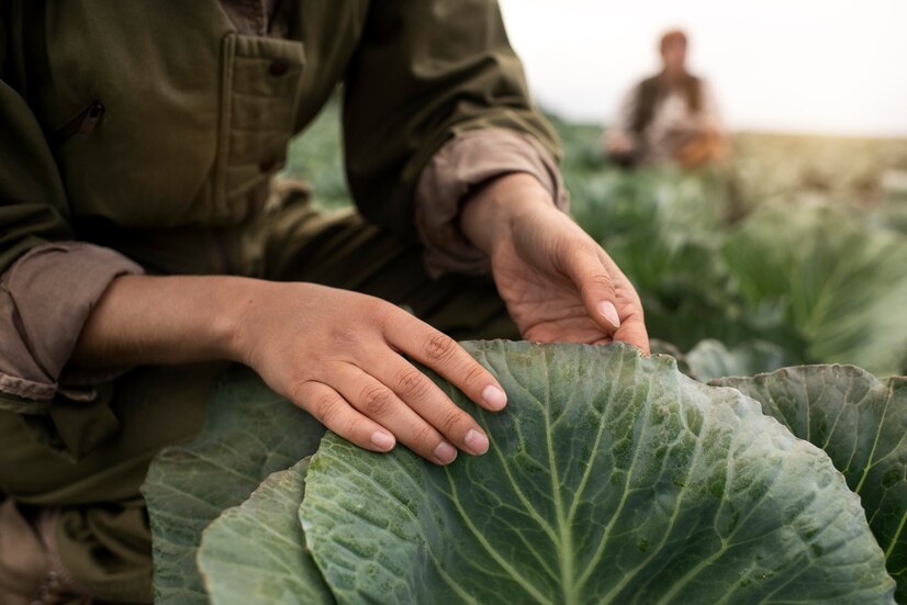 Les métiers de l'agroalimentaire